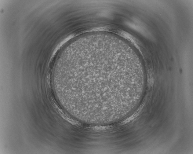 X0000079320827200612151815