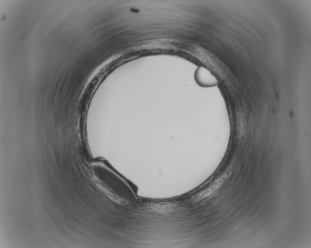 X0000079320830200612151815