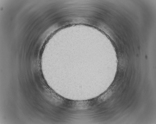 X0000079320832200612151815