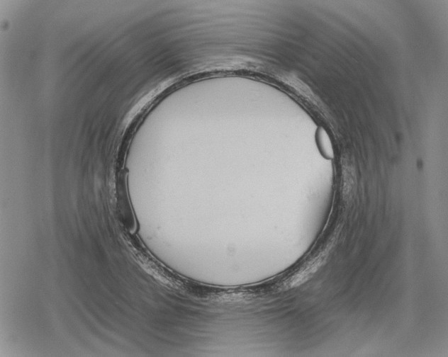 X0000079320834200612151815