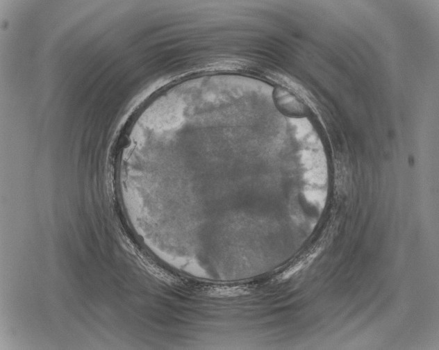 X0000079320835200612151815