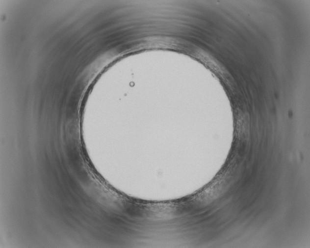 X0000079320836200612151815