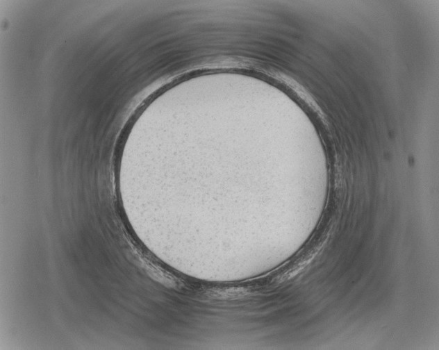 X0000079320837200612151815