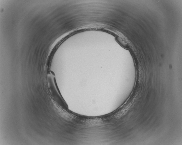 X0000079320838200612151815