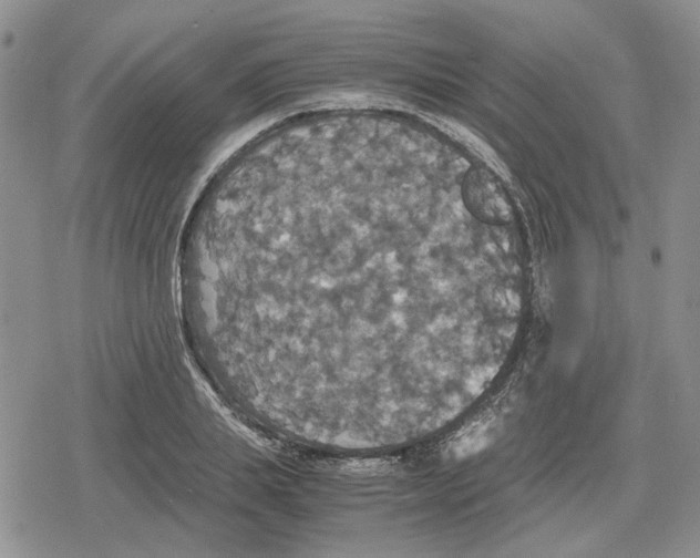 X0000079320839200612151815