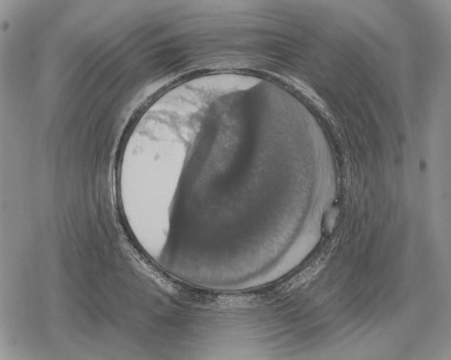 X0000079320840200612151815