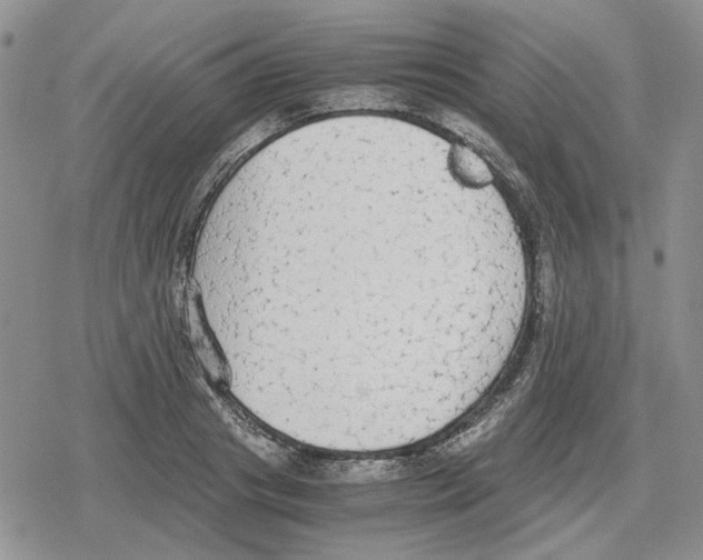 X0000079320841200612151815