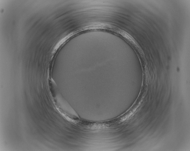 X0000079320842200612151815