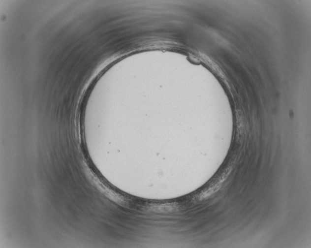 X0000079320843200612151815