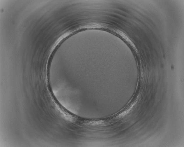 X0000079320845200612151815