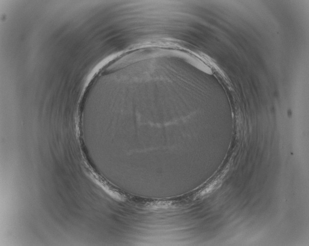 X0000079320846200612151815