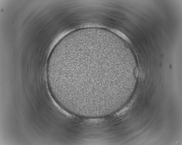 X0000079320847200612151815