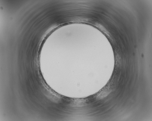 X0000079320848200612151815