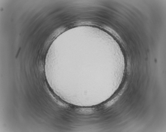 X0000079320849200612151815