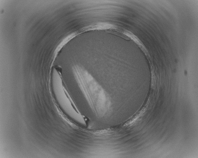 X0000079320850200612151815