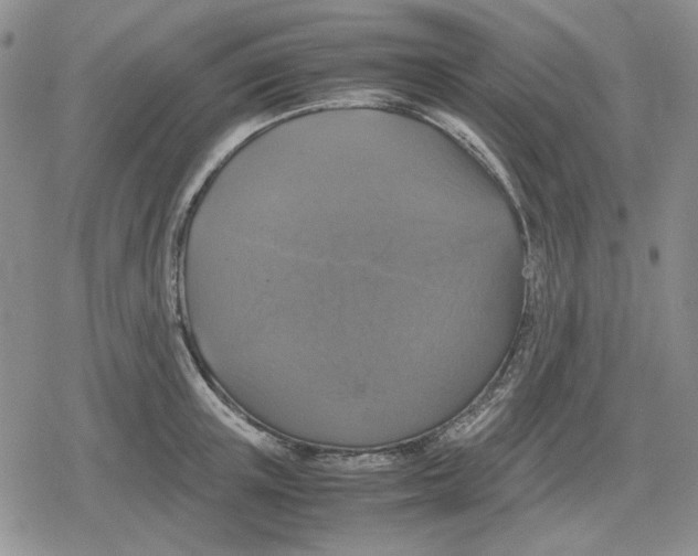 X0000079320851200612151815