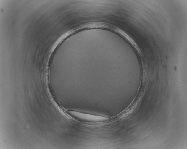 X0000079320853200612151815