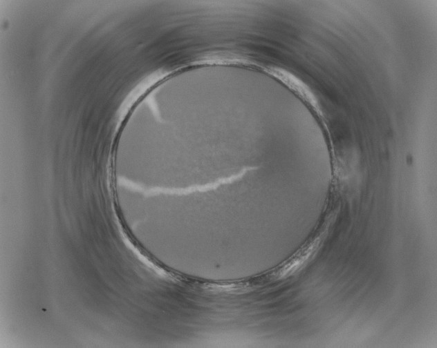 X0000079320855200612151815