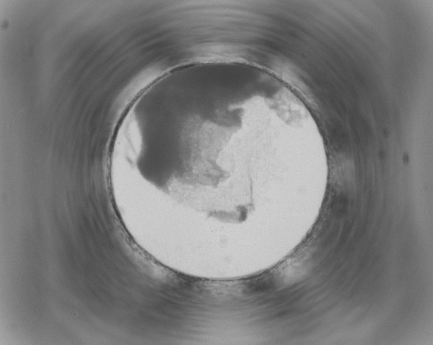 X0000079320856200612151815