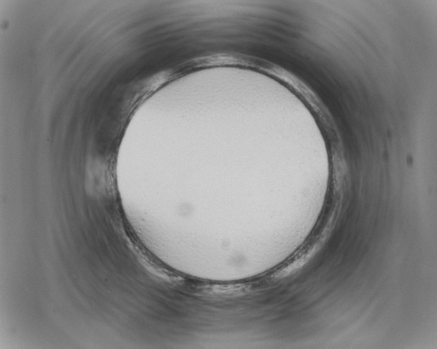 X0000079320857200612151815