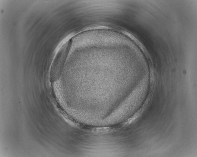 X0000079320858200612151815