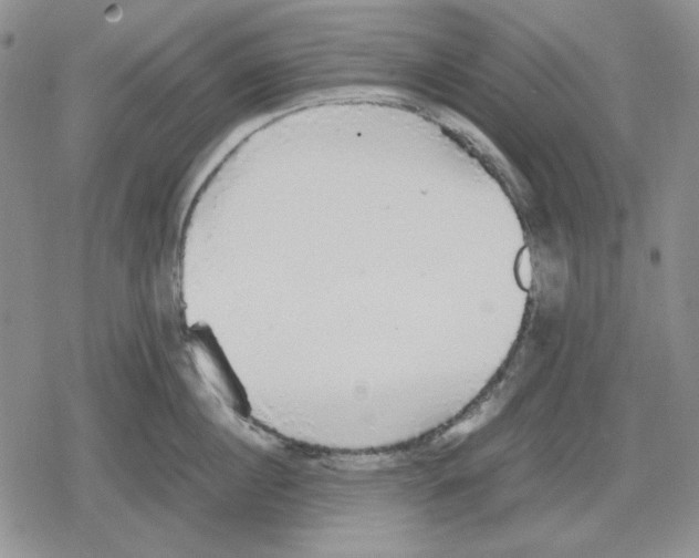 X0000079320860200612151815