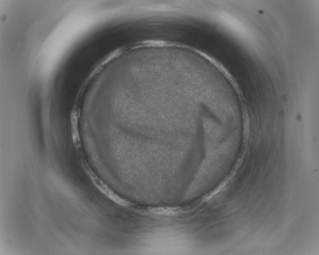 X0000079320862200612151815