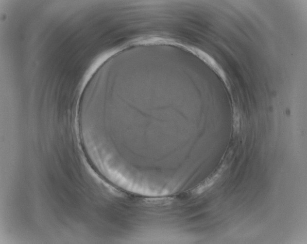 X0000079320863200612151815