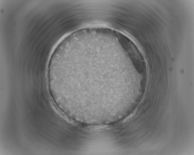 X0000079320864200612151815