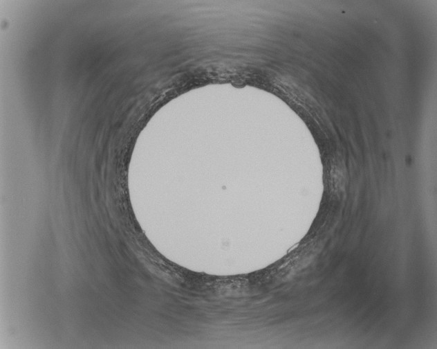 X0000079320865200612151815