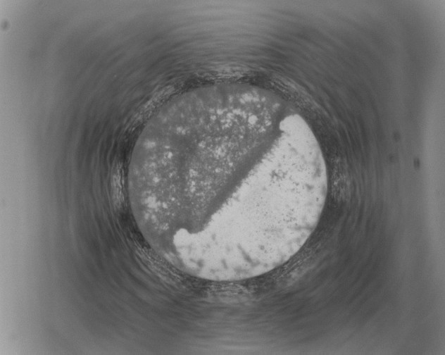 X0000079320866200612151815