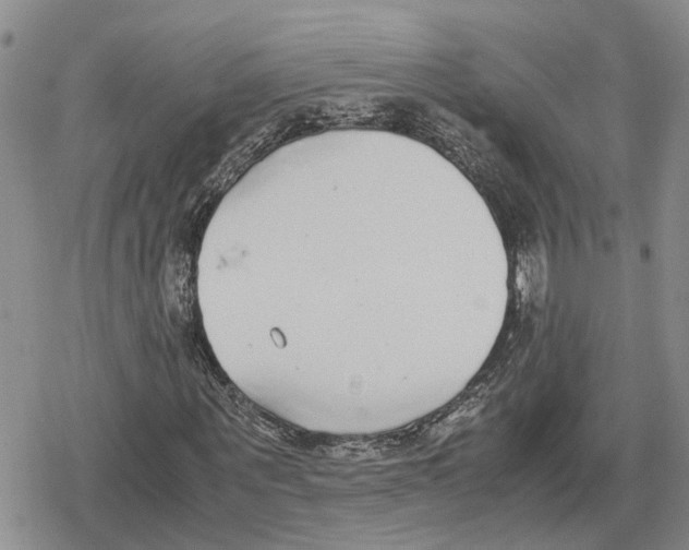 X0000079320867200612151815