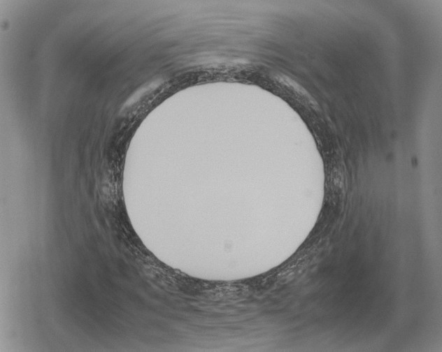 X0000079320869200612151815