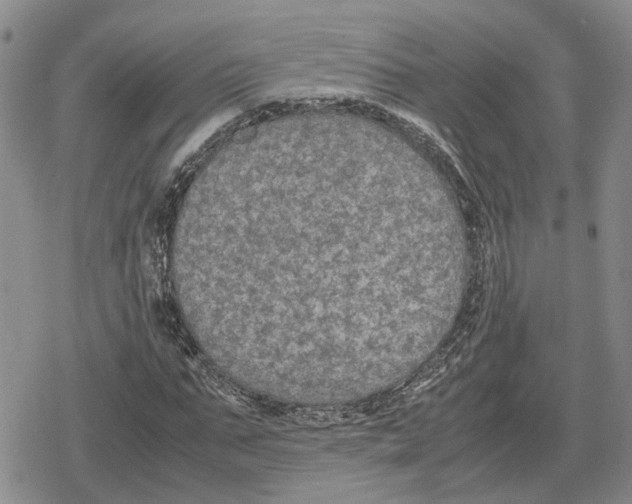 X0000079320871200612151815