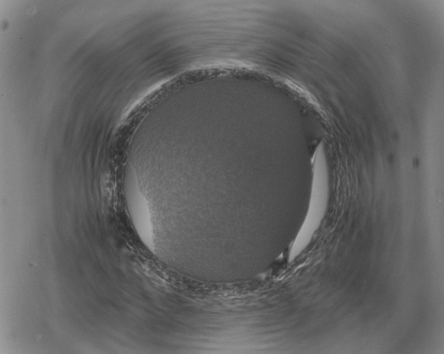 X0000079320872200612151815