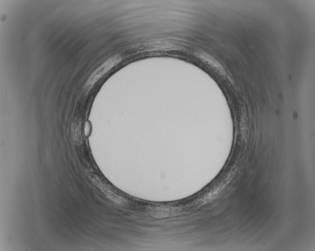 X0000079320873200612151815