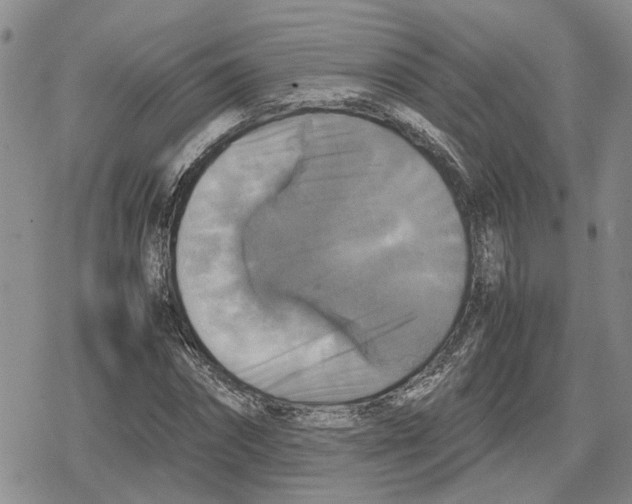 X0000079320874200612151815