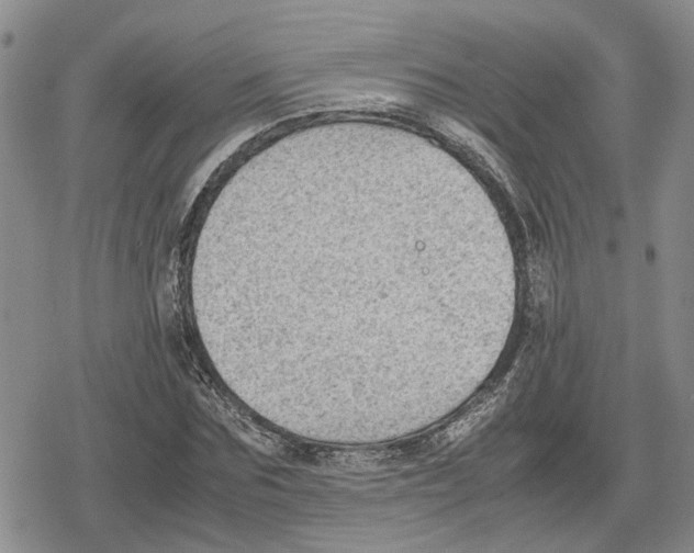 X0000079320875200612151815