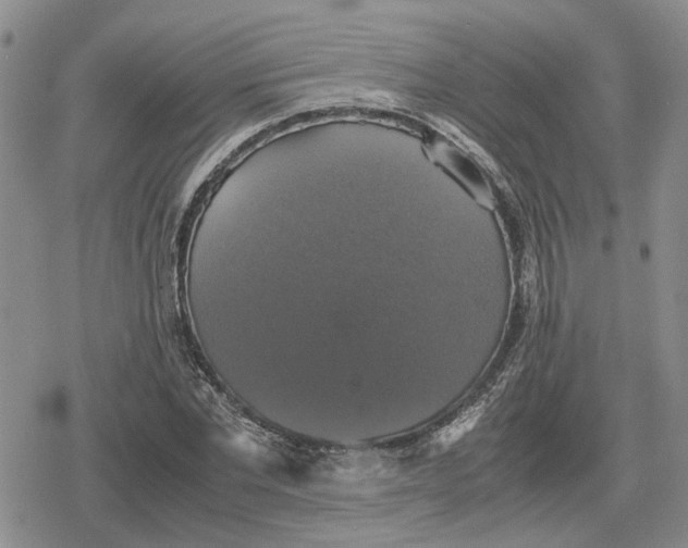 X0000079320877200612151814