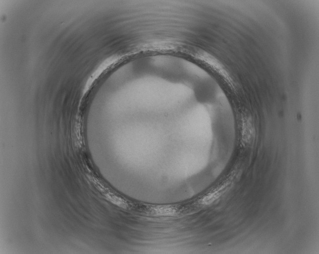 X0000079320878200612151814