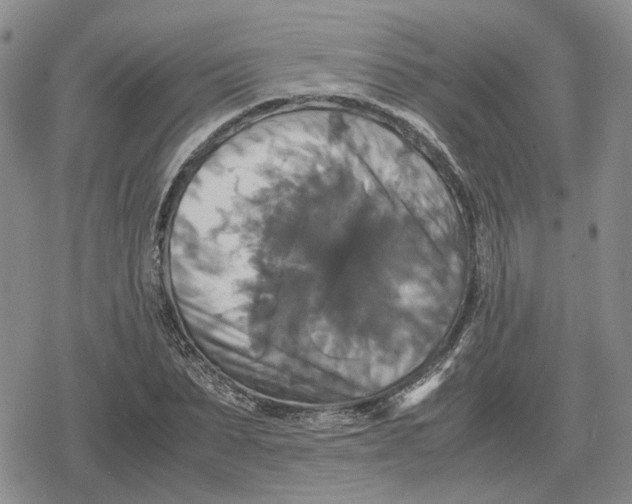 X0000079320879200612151814