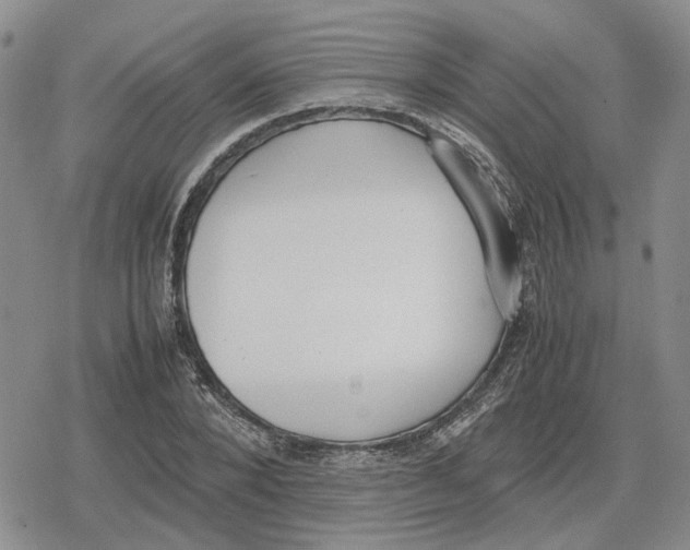 X0000079320880200612151814