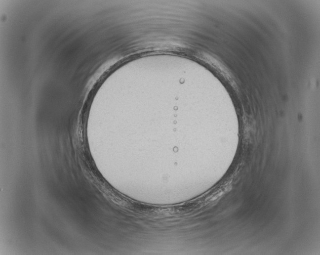 X0000079320883200612151814