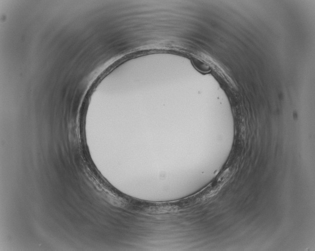 X0000079320884200612151814