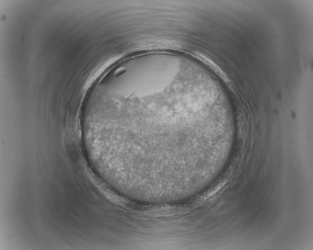 X0000079320885200612151814