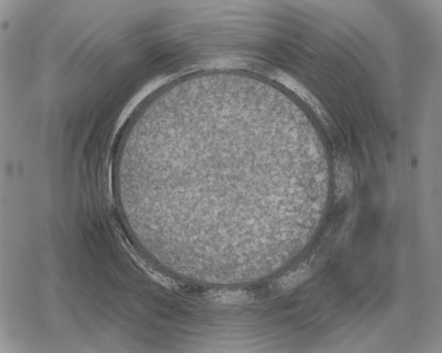 X0000079320886200612151814