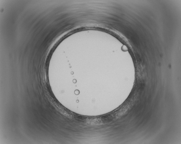 X0000079320887200612151814