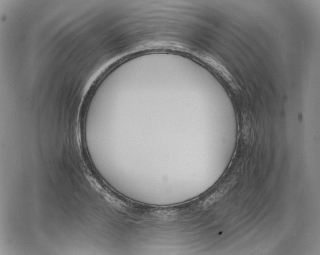 X0000079320888200612151814