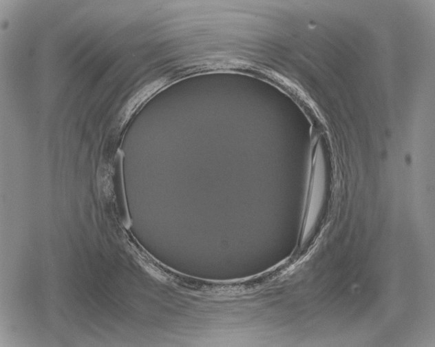 X0000079320889200612151814