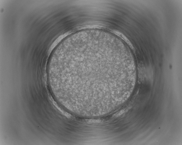 X0000079320890200612151814